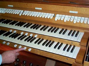 The organ keyboard